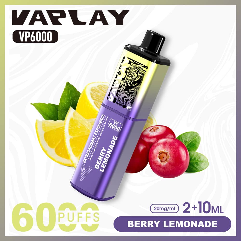 Vaplay VP6000 Prefilled Pod Vape Kit Box of 5 - Berry Lemonade