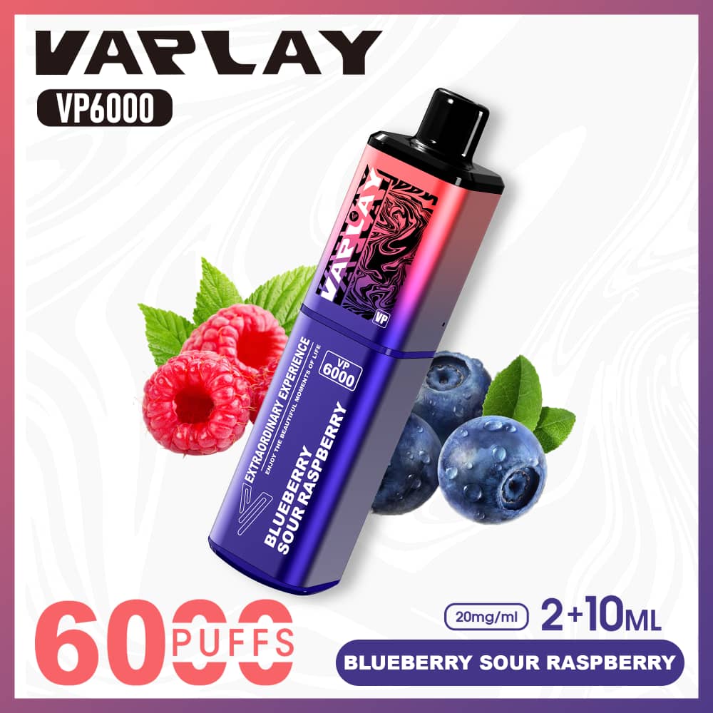 Vaplay VP6000 Prefilled Pod Vape Kit Box of 5 - Blueberry Sour Raspberry