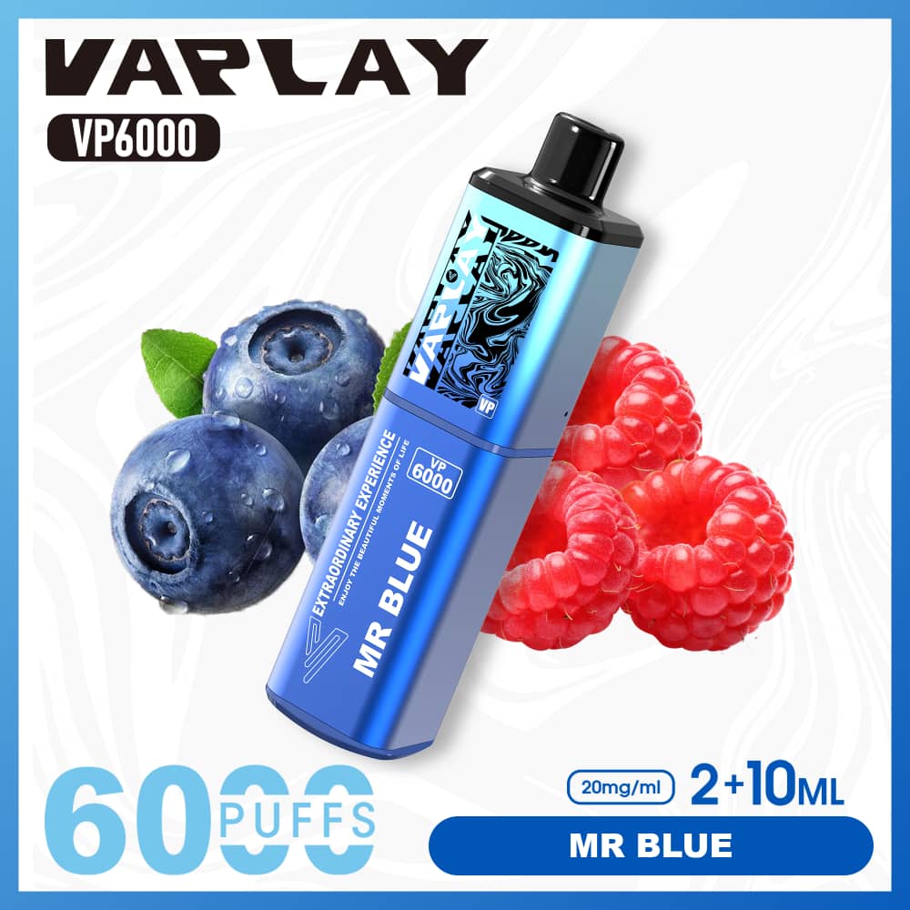 Vaplay VP6000 Prefilled Pod Vape Kit Box of 5 - Mr Blue