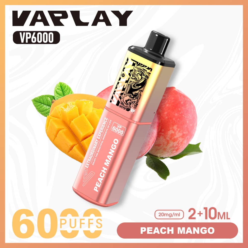 Vaplay VP6000 Prefilled Pod Vape Kit Box of 5 - Peach Mango