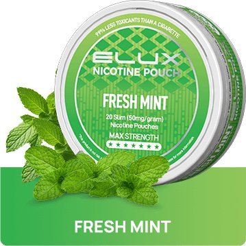 Elux Nicotine Pouches - (Pack of 10) - 10 MG