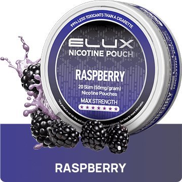 Elux Nicotine Pouches - (Pack of 10) - 10 MG