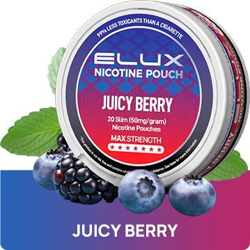 Elux Nicotine Pouches - (Pack of 10) - 10 MG