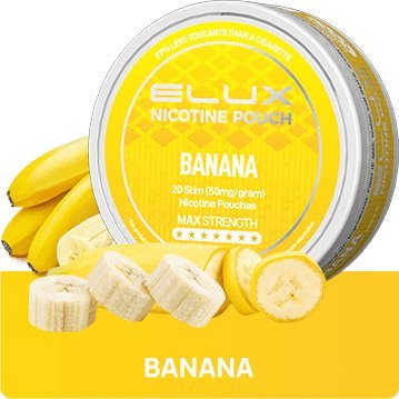 Elux Nicotine Pouches - (Pack of 10) - 10 MG
